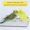 Stainless Steel Bird Perch - Chew-Resistant and Rust-Proof, Suitable for