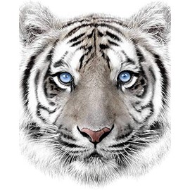 Jerry Fabrics Microfibre Fleece Blanket White Tiger 120 x 150 cm