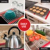 Total Rack, Expands 10" to 21", 10-Inch-Wide Multipurpose Over-Sink Dish-Drying