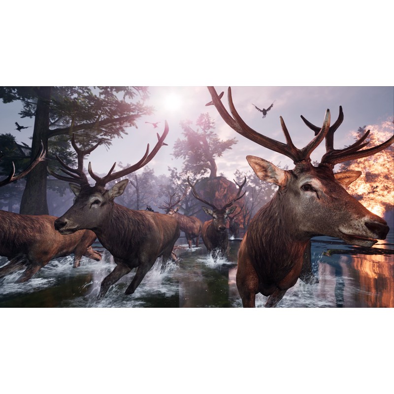 Away: The Survival Series