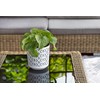 Flower pot for herbs | Ø 19.5 cm H 20
