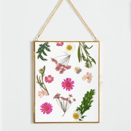 Giadun Brass Hanging Picture Frame,10.8x14 Double Glass Frame for Pressed Flowers, Clear DIY Vintage Artwork Display Frame with Chain, Floating Frame Style Gallery Wall Mounted Photos Frame