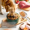 2 Pack Metal Dog Food Scoop 18 Oz With Loop,