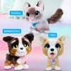 furReal Newborns Kitty Interactive Pet, Small Plush Stuffed Animal Cat