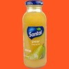 Santal Pear Fruit Juice – 100% Natural Pear Puree &