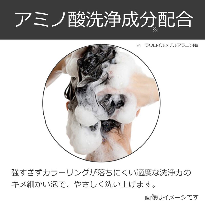 Every Color Shampoo Black, 10.1 fl oz (300 ml)