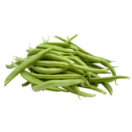 Park Seed Organic Derby Bush Green Bean Seeds – AAS Winner, High Yield 18-Inch Plants, Straight 7-Inch Pods, Disease Resistant, Easy to Harvest and Preserve for Home Gardens – Pack of 100 Seeds