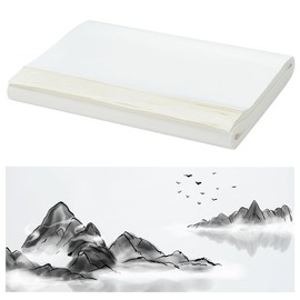 WEBEEDY 100 Sheets Raw Rice Paper, Chinese Japanese Calligraphy Xuan Paper Raw Rice Papers Sheets for Chinese Ink Wash Painting and Calligraphy Brush Art, 34 x 69 cm