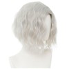 Siudus Mens Short Silver Curly Wig Natural Middle Part Cosplay