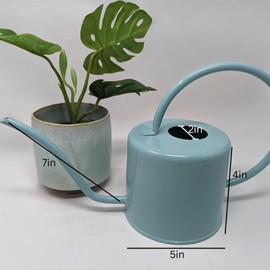 Teal Metal Watering Can for Indoor & Outdoor Plants – Long Spout Decorative Water Can for Houseplants, Flowers, Garden – Down to Earth Basics Heavy-Duty Plant Water Jug