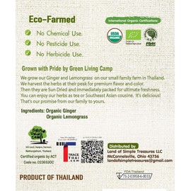 Organic Ginger Root and Lemongrass Tea Bags - Zesty Superfood Herbal Drink - Caffeine Free - 40 Natural Corn Fiber Sachets