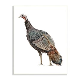 Stupell Industries Wild Turkey Bird Watercolor Painting Kids' Nursery Animal Wall Plaque, 13 x 19, Brown
