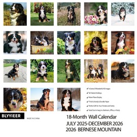 2025-2026 Wall Calendar,Bernese Mountain Wall Calendar, 12" x 24" Open,Family Planner Calendar Organizer with Bernese Mountain dog Images, for Dogs Lovers
