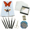 Insect Taxidermy Tools Butterfly Insect Taxidermy Tools Spreading Wing Board