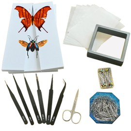 Insect Taxidermy Tools Butterfly Insect Taxidermy Tools Spreading Wing Board Set EVA pin Board 8x5inch PE Insect Box Butterfly Taxidermy Tools+sulfate Paper 6pcs Tweezers Set