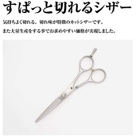 DEEDS PP-03 Scissor, Professional Japanese Shears Manufacturer, 5.5 Inches, Forged Finish, Quick Clean Glasses Handle Scissor, Hairdresser