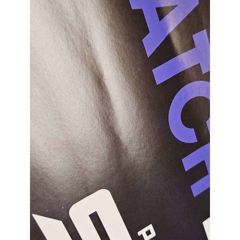 Power Slap 4 Promo Poster