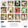 Just Wheaton Terriers 2023 Wall Calendar