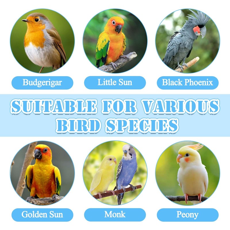 Bird Leash with 4 Different Size Foot Ring, Parrot Flying