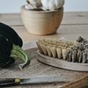 La Marquise - Zero Waste Wooden Dish Brush - Spare