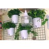 5 Pack Visible Water Level Self Watering Planter with Inner
