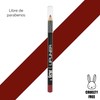 Kit Viral de Labios Lip Oil Color Adara y Lapiz