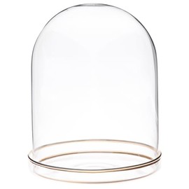 Plymor 4.5" x 6" Glass Display Dome Cloche with Gold Rim (Gold Rim Glass Tray Base)