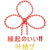 Sato, Domestic Red and White Rope, Length 11.8 ft (30