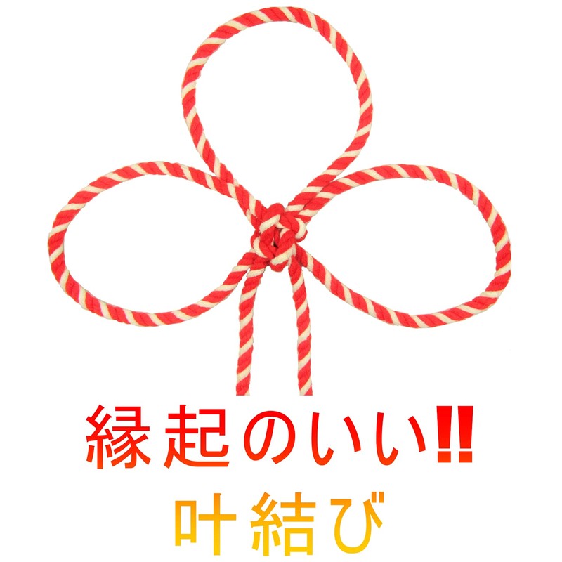 Sato, Domestic Red and White Rope, Length 11.8 ft (30