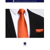 Hisdern TL-01S Men's Plain Necktie, Pocket Square Gift, Silky Sheen,