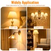 Blakapoo 100 Watt Incandescent Light Bulbs, A19 100W Frosted Light