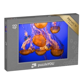 puzzleYOU: 48 Piece Jigsaw Puzzle - Lots of Jellyfish Against a Blue Sea Background, Upside Down - From the Underwater Puzzle Collection