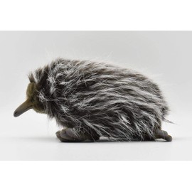 Echidna 11 inches 28cm