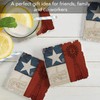 Thirstystone Texas Proud 4-Pack Tumbled Tile Stone Coasters with Protective