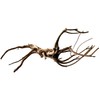 Black Spiderwood Small