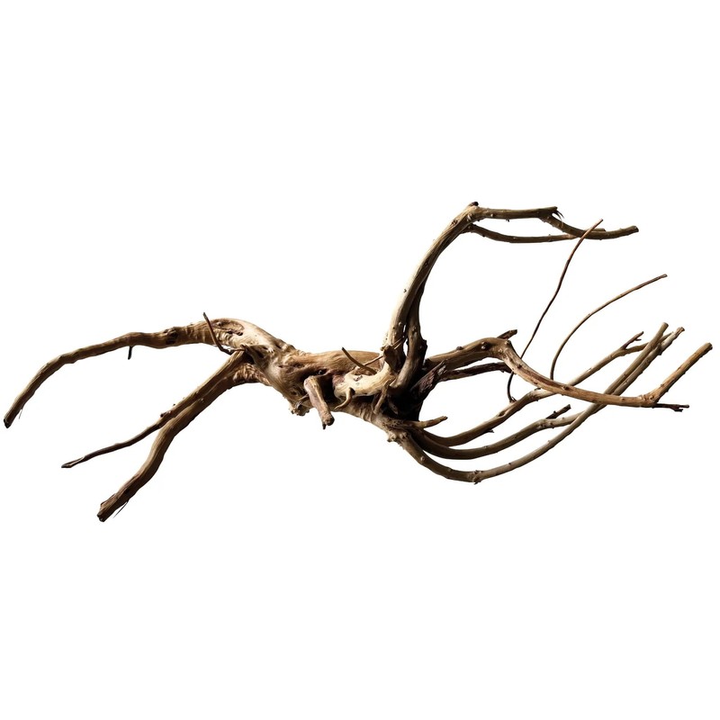 Black Spiderwood Small