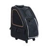 PETIQUE Pet Carrier, Sunset Stripe, One Size, Model Number: PC01040103