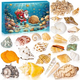 Advent Calendar 2024, Seashells Advent Calendar for Kids Teens Adults, 24 Days Christmas Countdown Calendar with Sea Shells for Learning Collection DIY Decoration, Xmas Gifts for Boys Girls Men Women