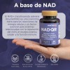 NAD+ Resveratrol, Vitamina C, Quercetina y Prebióticos 60 cápsulas 550mg