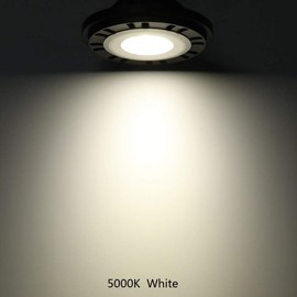 Arrownine PAR36 LED Landscape Bulb 6W 9-17V Water Resistant for Landscape Lighting Outdoor Well Lights Flag Pole Tree Uplight Black Finish White 5000 Kelvin