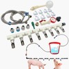 Pig Waterer System with 8 Pig Water Nipples, Automatic Pig