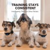 Dogcare Dog Bark Collar - -Barking Shock Collar-two safe training
