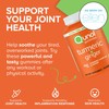 Qunol Turmeric and Ginger Gummies - Joint Support Supplement with