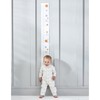 Natures Purest Record Fold Out Height Chart Book