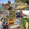 MAXIMUMCATCH Maxcatch ECO Fly Reel Large Arbor with Diecast Aluminum