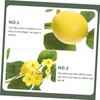 Zerodeko Realistic Lemon Rattan Garnish Lemon and Leaves Garland for