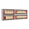 Dental Synthetic Resin Denture Tooth Professional Men Women Shade A3