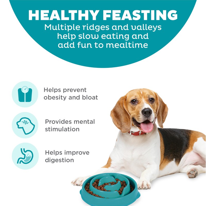 Outward Hound Medium Slow Feeder Bowl, Puzzle Maze for Fast