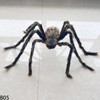 Giant Light-Up Spider for Halloween Decor – Poseable Black Plush