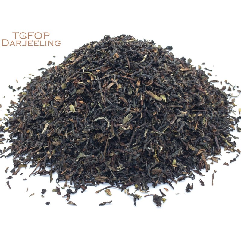 Sarsaparilla Root and Black Tea Herbal Infusion (TGFOP Darjeeling -